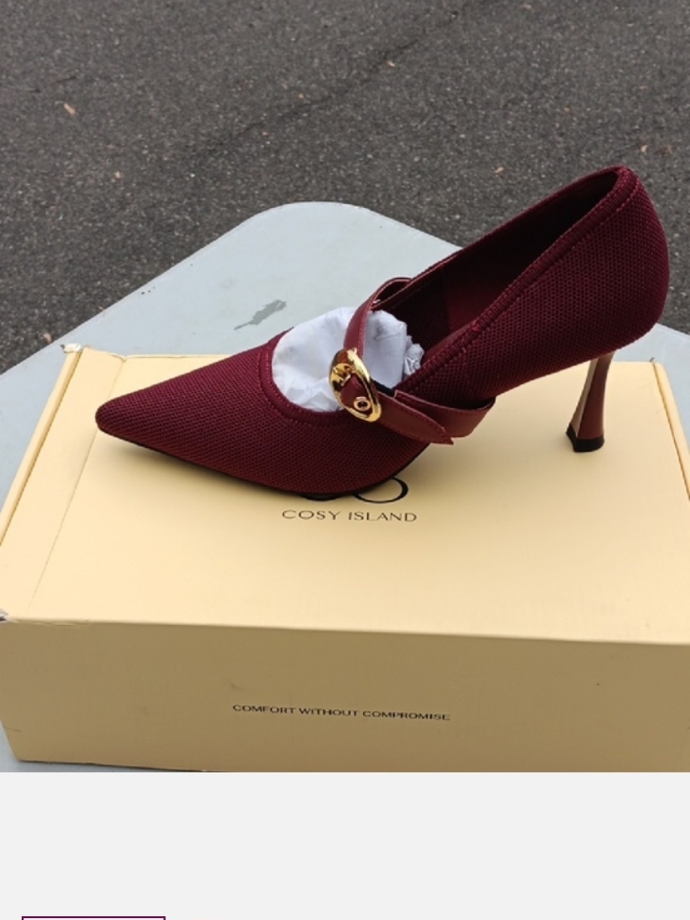Cosy Island Burgundy Pointed Mary Jane Heel with Gold Buckle